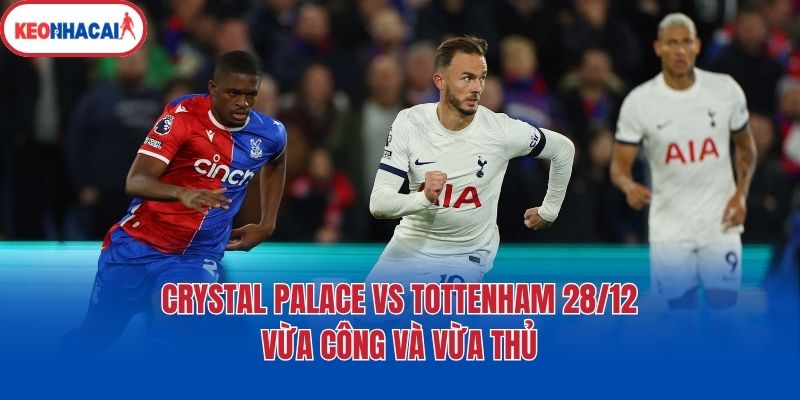 crystal palace vs tottenham 28 12 vua cong va vua thu Crystal Palace vs Tottenham 28/12 - Vừa công và vừa thủ