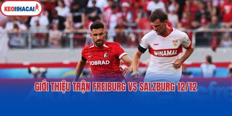 gioi thieu tran freiburg vs salzburg 12 12 Giới thiệu trận Freiburg vs Salzburg 12/12