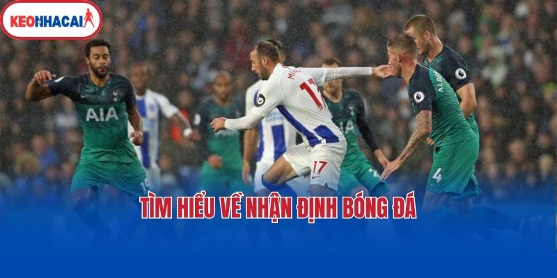 Tìm hiểu về nhận định bóng đá